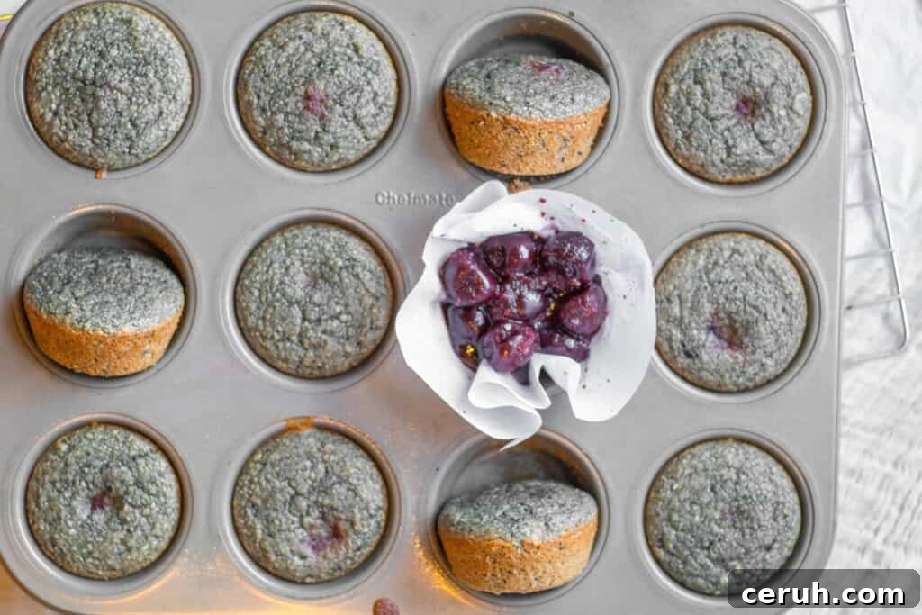 baked muffins in a muffin tin with raw cherries in one of the spots