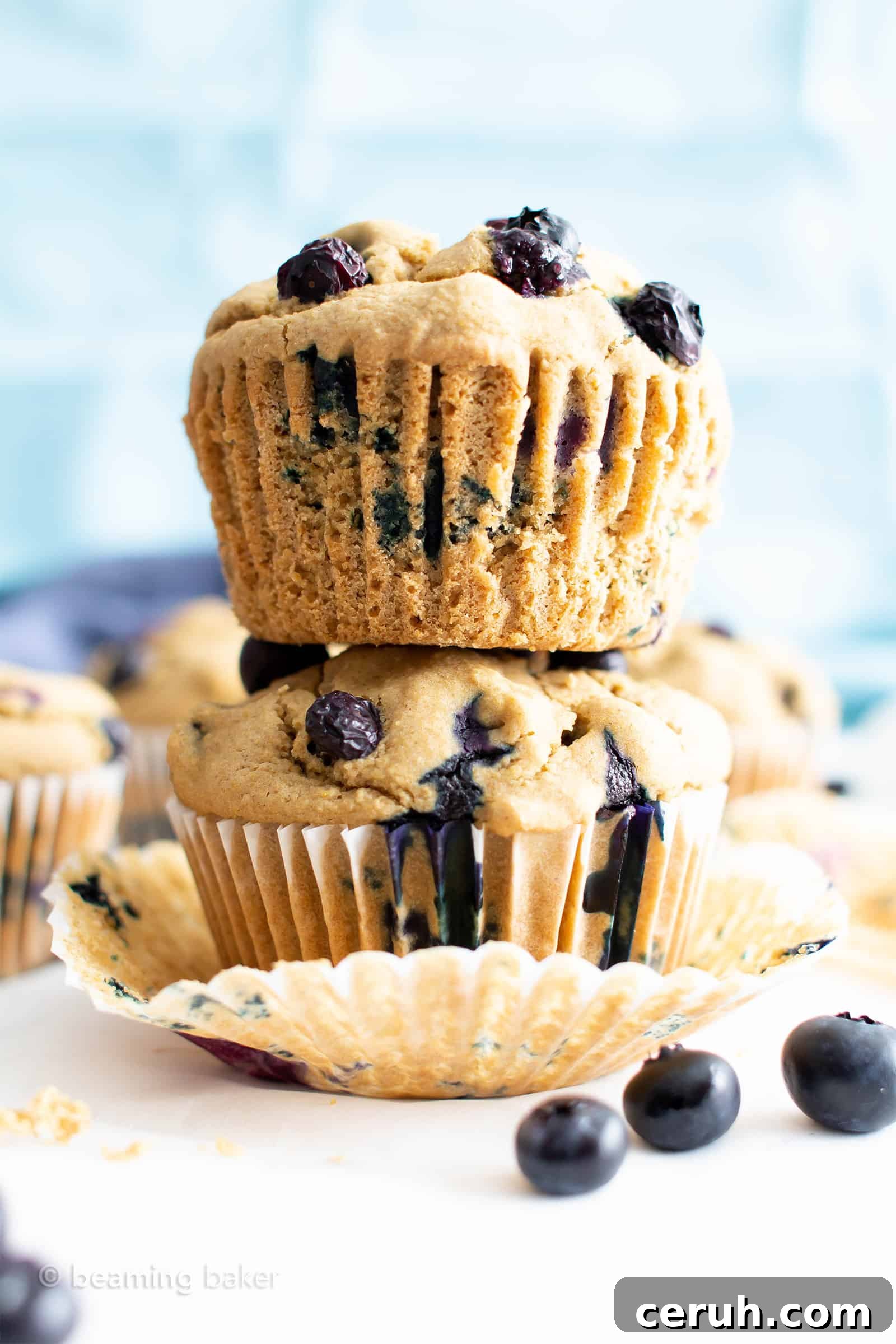 Vegan Gluten-Free Blueberry Muffins — Moist & Flavorful 2 Healthy Vegan Gluten Free Blueberry Muffins