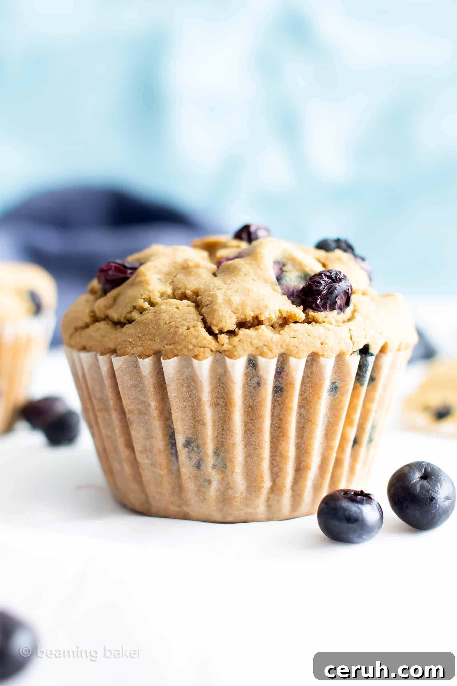 Vegan Gluten-Free Blueberry Muffins — Moist & Flavorful 3 Healthy Vegan Gluten Free Blueberry Muffins