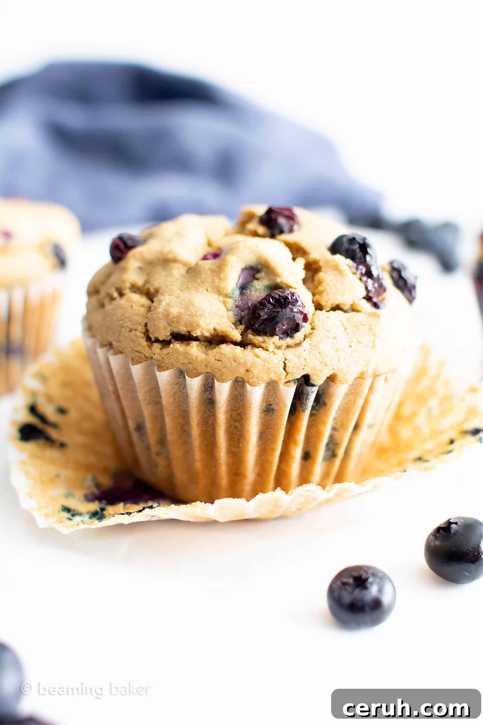 Vegan Gluten-Free Blueberry Muffins — Moist & Flavorful 5 Healthy Vegan Gluten Free Blueberry Muffins