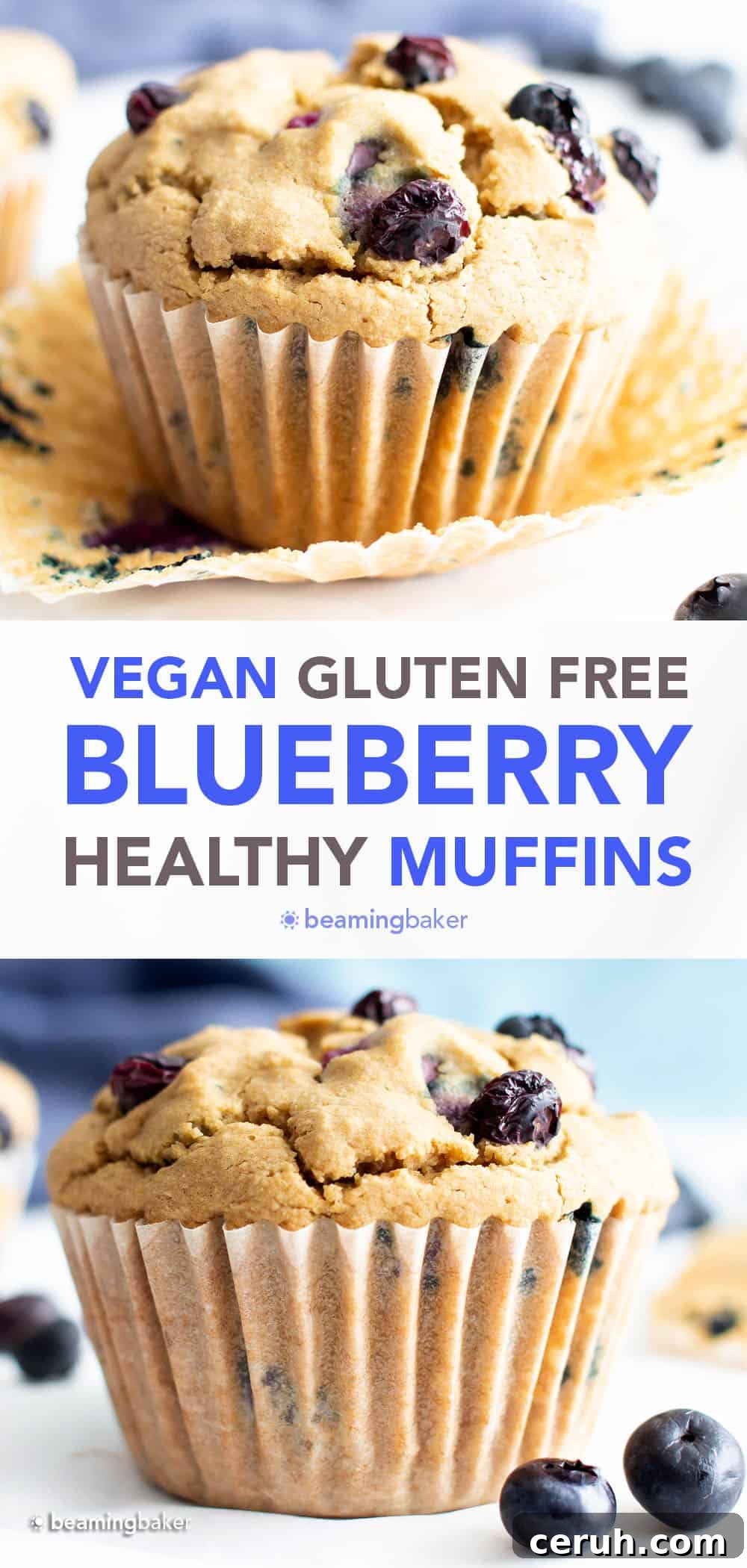 Vegan Gluten-Free Blueberry Muffins — Moist & Flavorful 6 Healthy Vegan Gluten Free Blueberry Muffins