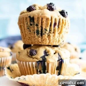 Vegan Gluten-Free Blueberry Muffins — Moist & Flavorful 7 Healthy Vegan Gluten Free Blueberry Muffins