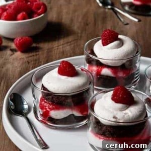 Mini Brownie Trifles with Fresh Raspberries
