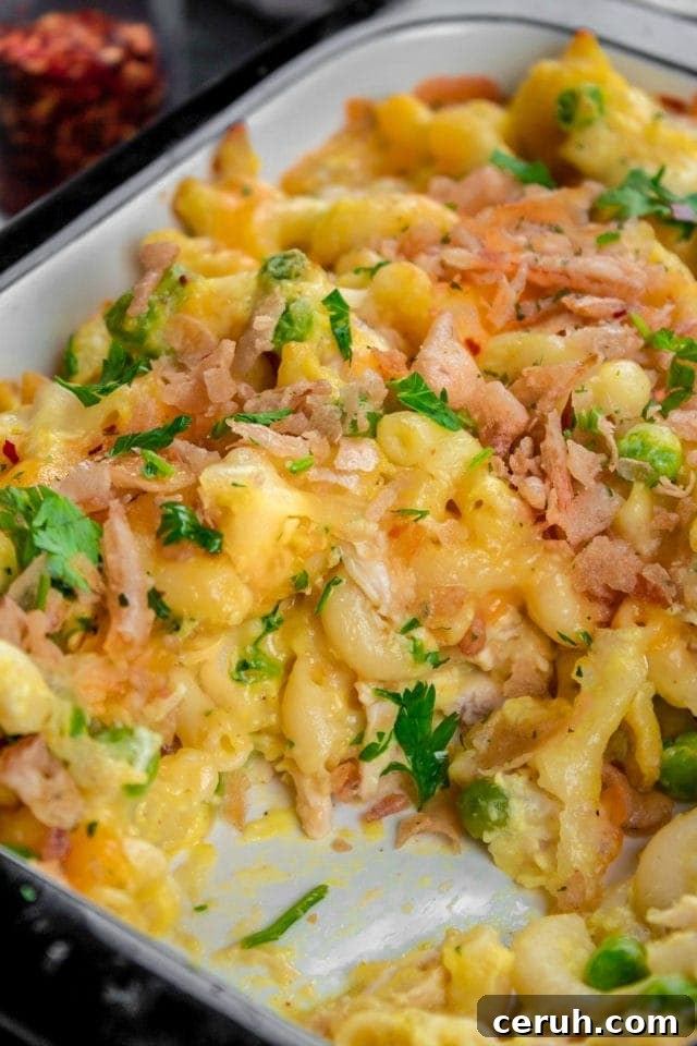 Easy Baked Pasta with Chicken Casserole Recipe 