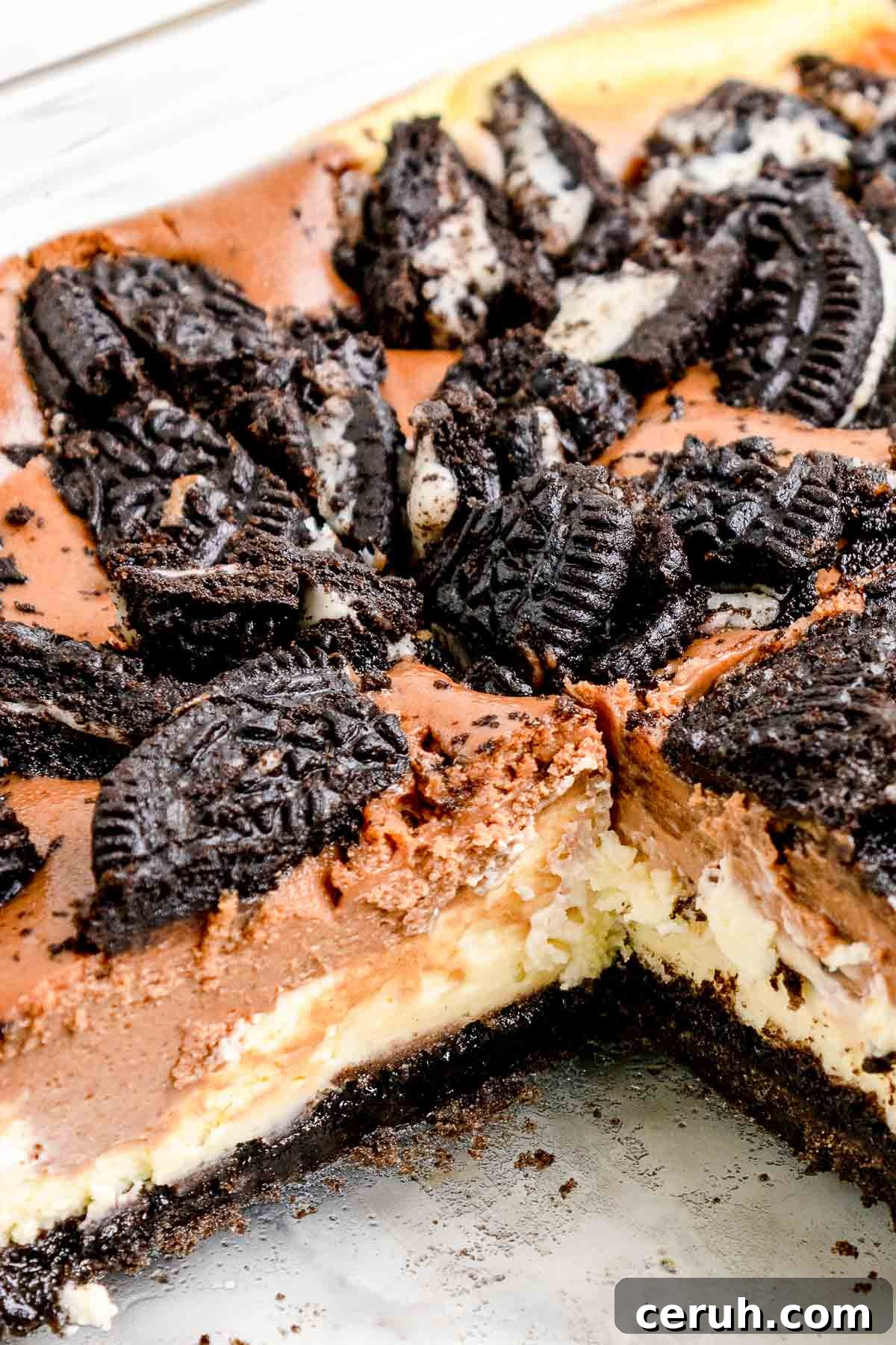 closeup shot of cheesecake