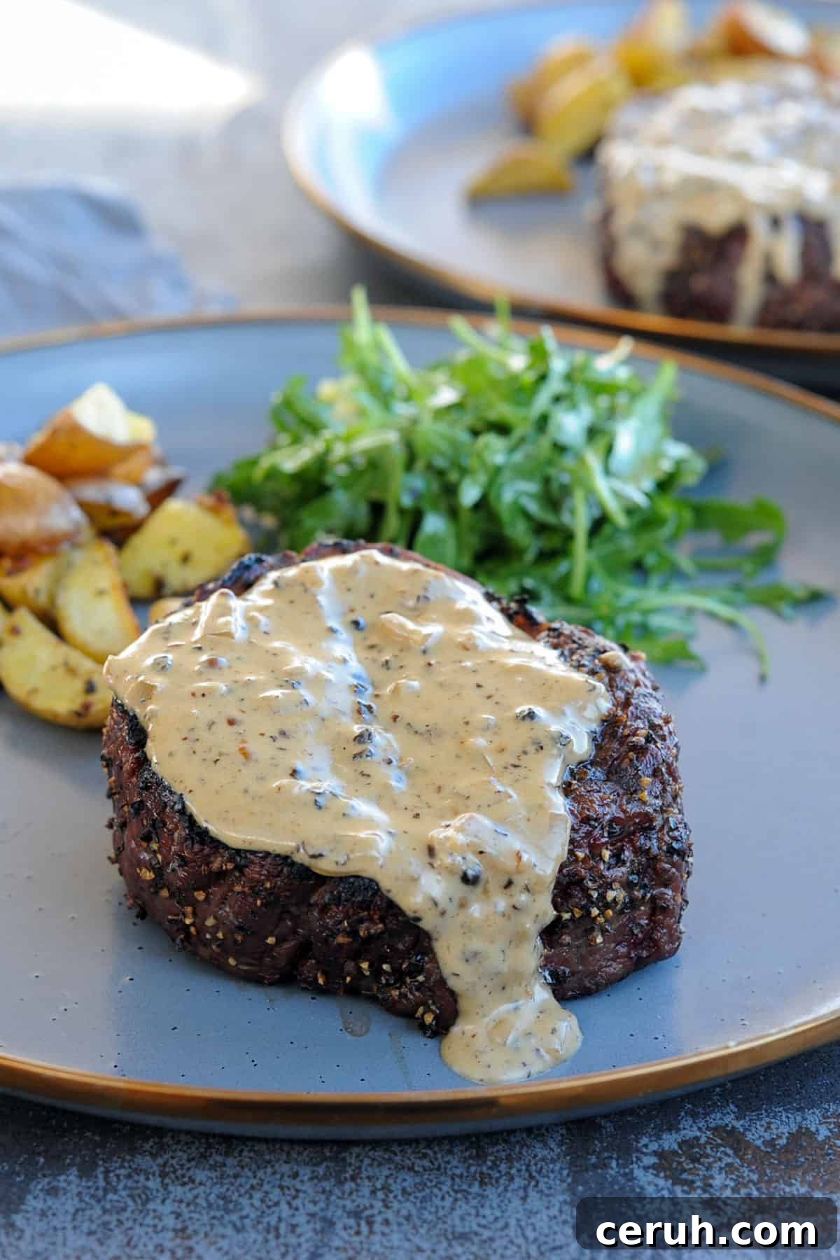 grilled filet mignon with peppercorn sauce on plate with salad and potatoes.