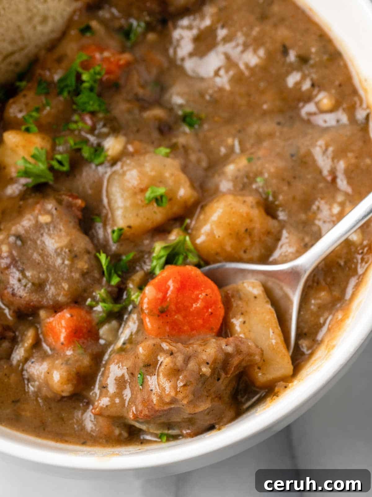 beef stew on spoon closeup. 