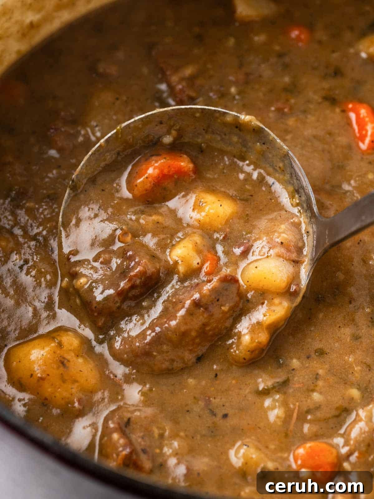 beef stew in ladle.