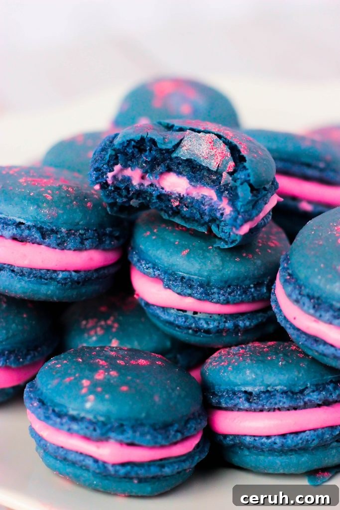 Bitten Blue Raspberry Macarons
