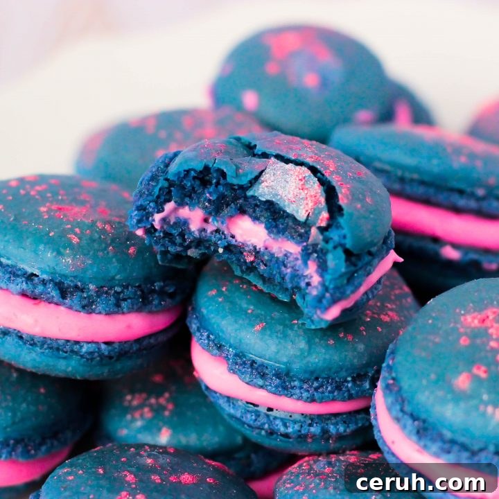 Blue Raspberry Macarons