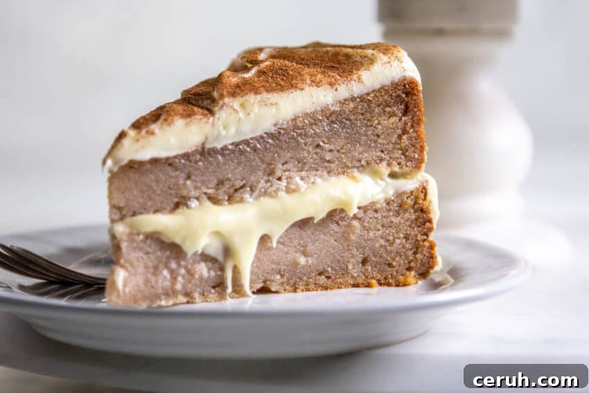 slice of snickerdoodle cake
