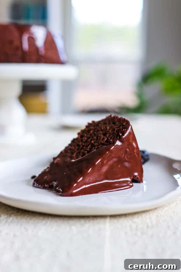 Chocolate Covered Prune Fudge Cake
