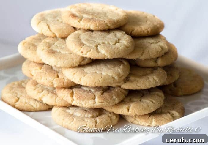 gluten-free snickerdoodles