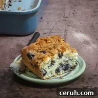 Freshly baked blueberry coffee cake slice with crumb topping.