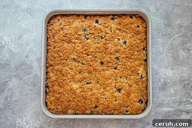 peanut butter crumb cake with chocolate chips, baked