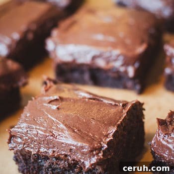 Best Chewy Brownies on Earth - You're going to love this rich and decadent frosted brownies recipe! Be sure to pin this now and try it later! - dearcrissy.com #brownies #chocolate