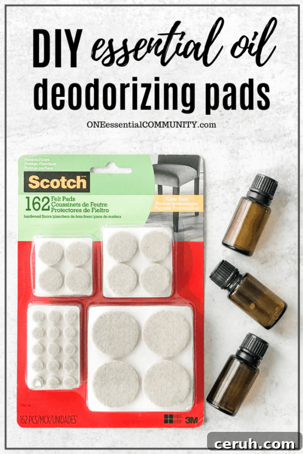 One Essential Community DIY essential oil deodorizing pads supplies, package of Scotch felt pads, essential oil bottles