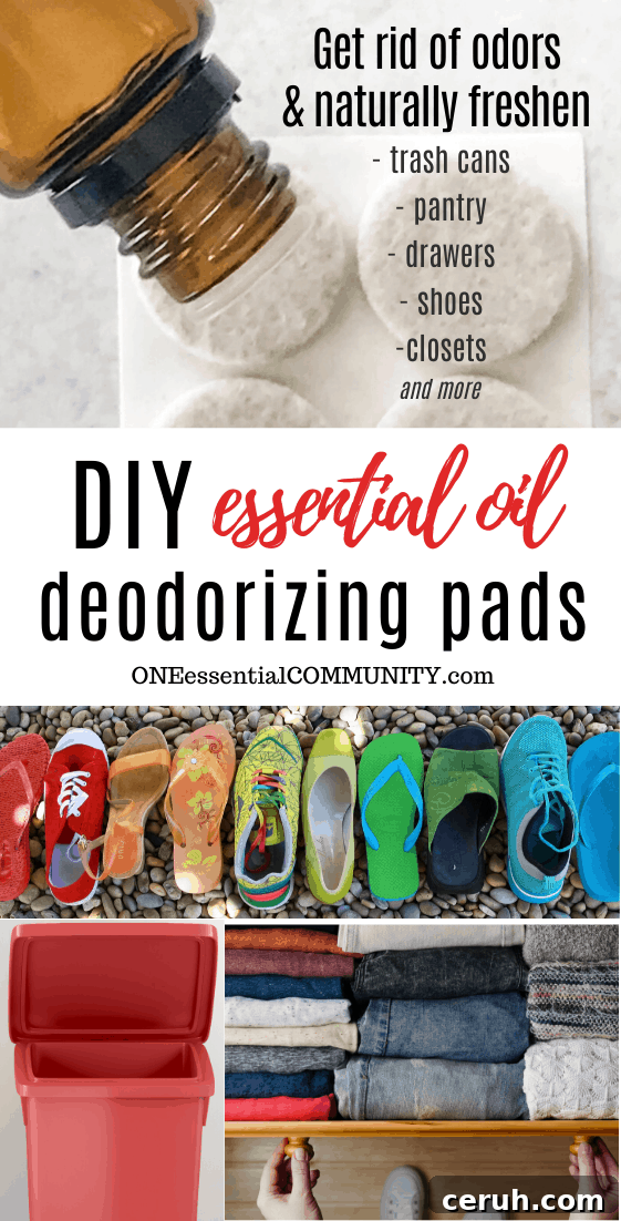 One essential community essential oil deodorizing pads title image, essential oil bottle, felt pads, deodorize your trash can, shoes, clothes using essential oils
