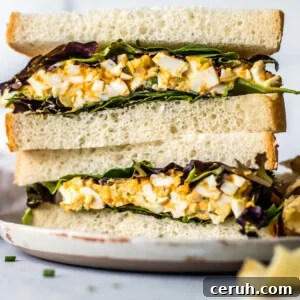 Egg salad sandwich halves with mixed greens stacked on a plate with a side of chips.