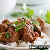 Slow cooker beef with salsa over rice and topped with cilantro.