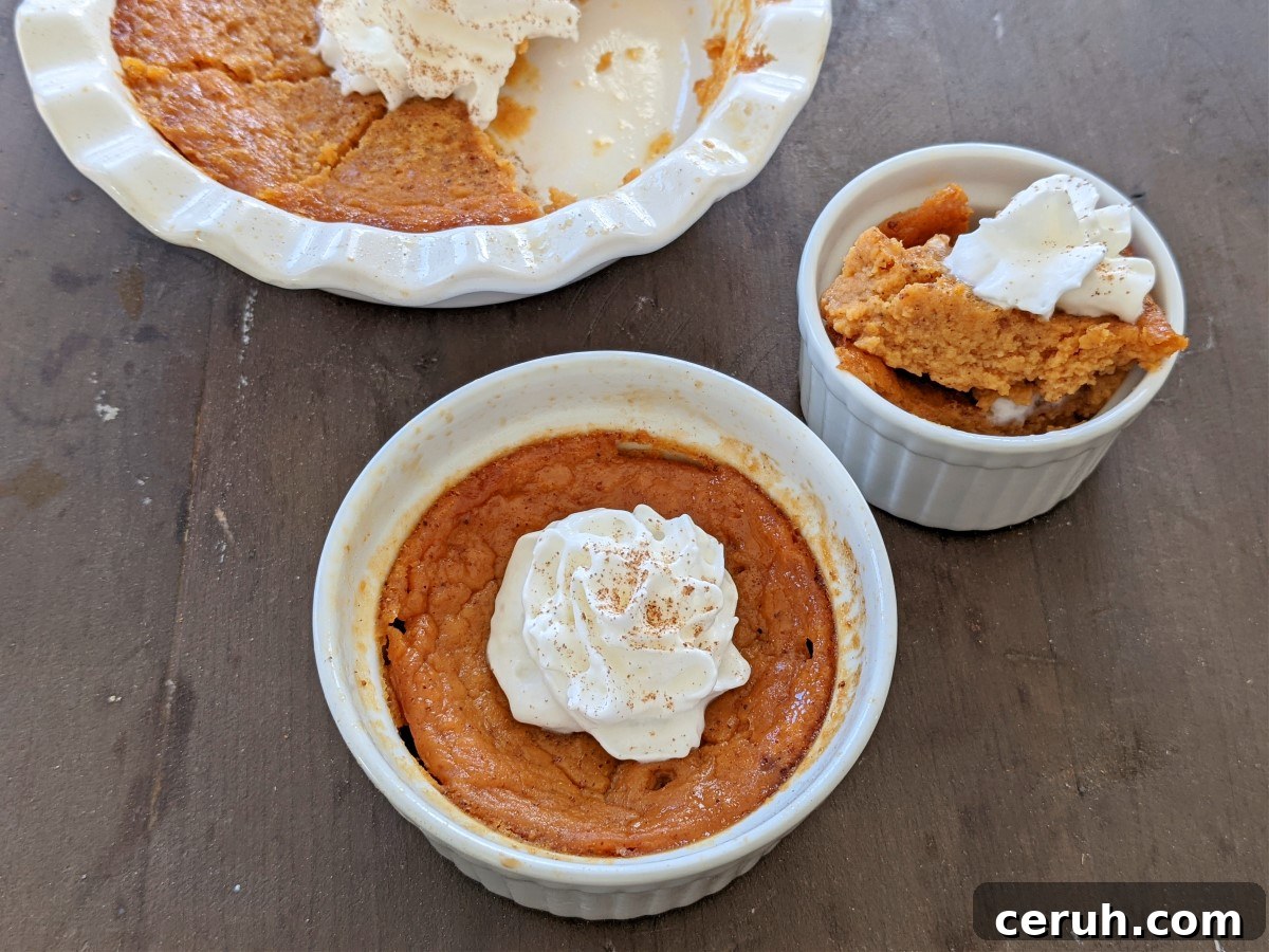 healthy pumpkin custard with whipped cream (Custom)