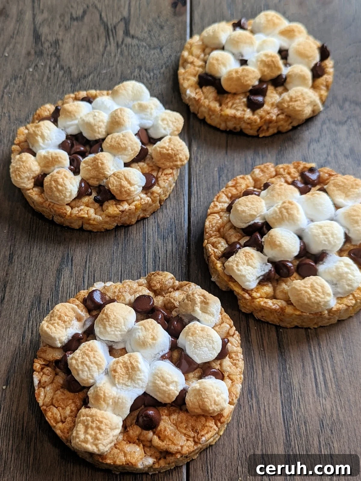 smore rice cake toppings