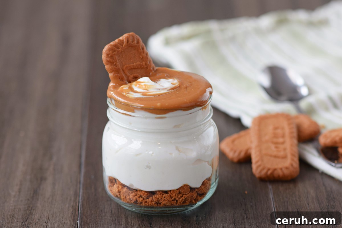 Protein biscoff cheesecake