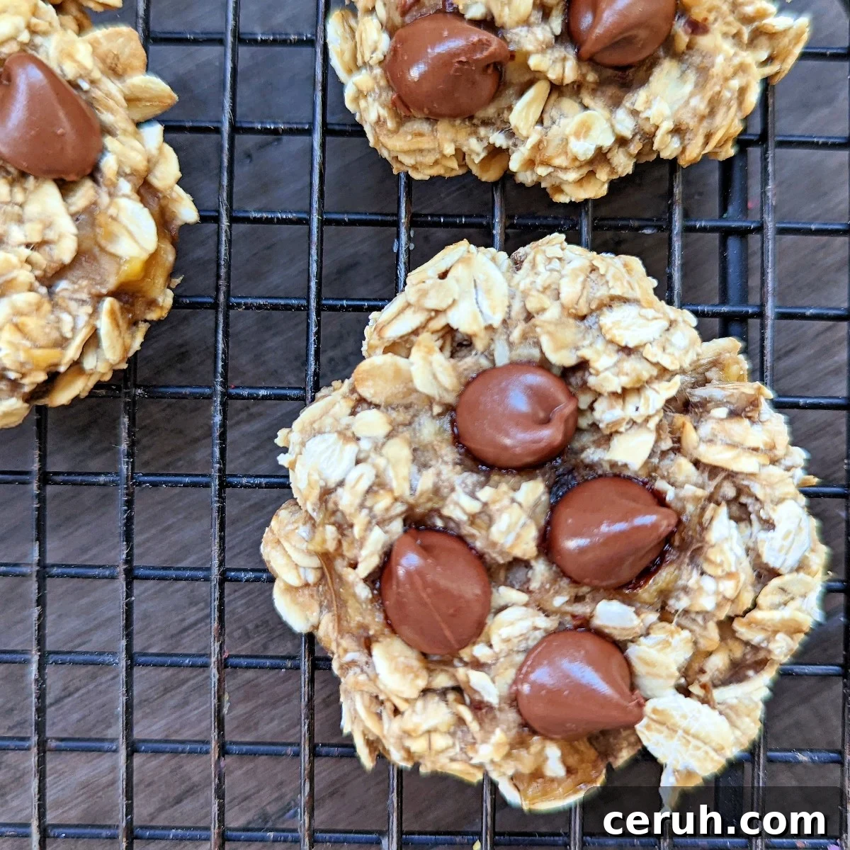 banana oat chocolate chip cookies for 70 calories and 1 weight watchers point