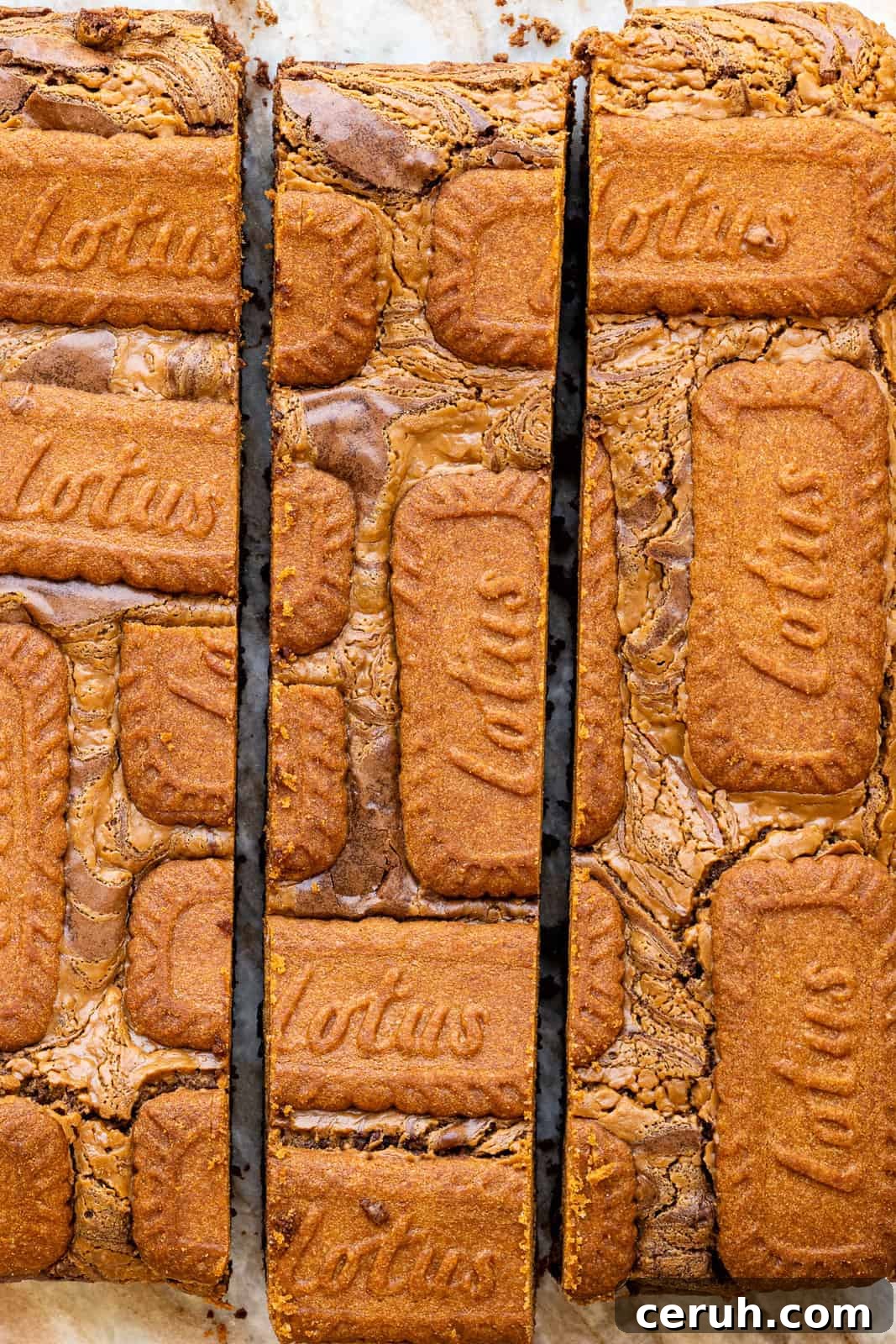 Close up on Lotus Biscoff brownies sliced into three sections