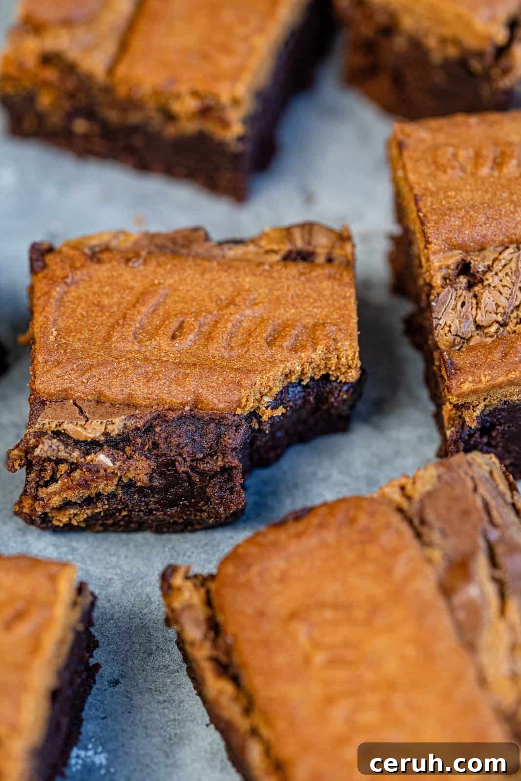 Close up on Chocolate brownies topped with Lotus Biscoff spread and biscuits