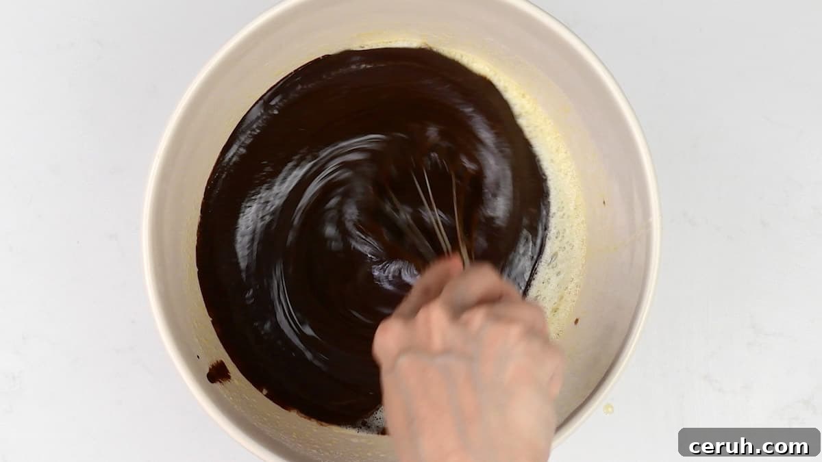 stirring melted butter and chocolate into whisked eggs and sugar to make brownies
