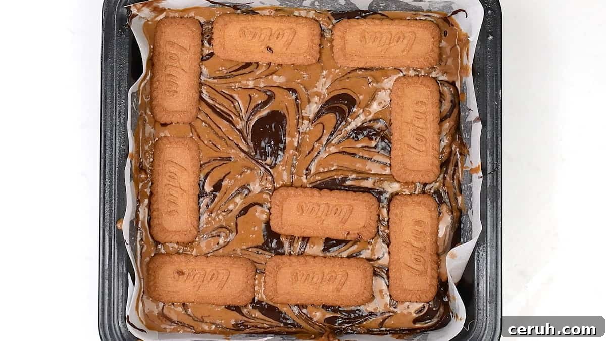 Placing Biscoff biscuits on brownie batter in a square tin