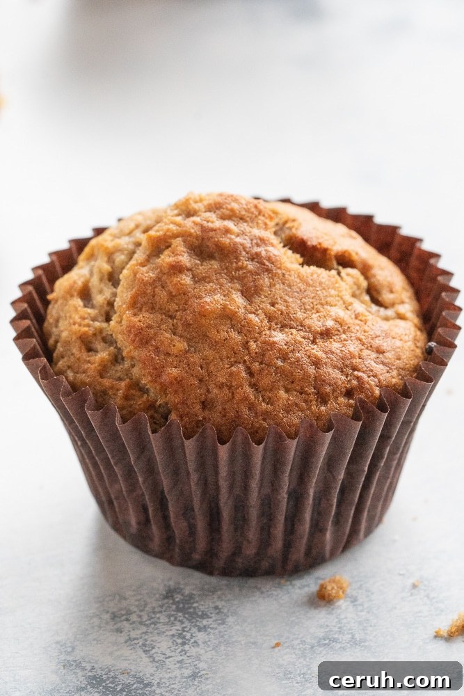 Quick Moist Banana Muffins Recipe for Perfectly Soft Bites 2 best banana muffins recipe