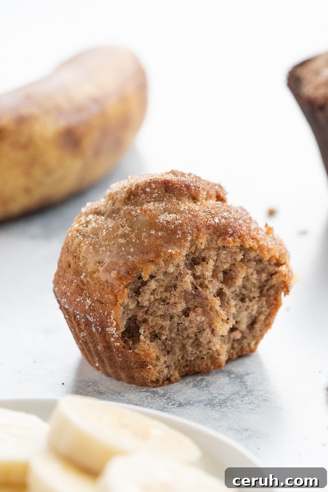 Quick Moist Banana Muffins Recipe for Perfectly Soft Bites 3 quick and easy banana muffins