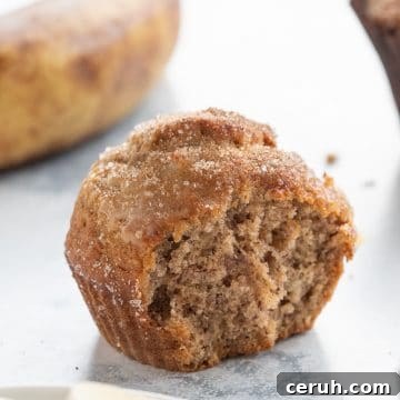 Quick Moist Banana Muffins Recipe for Perfectly Soft Bites 5 img 2543 4