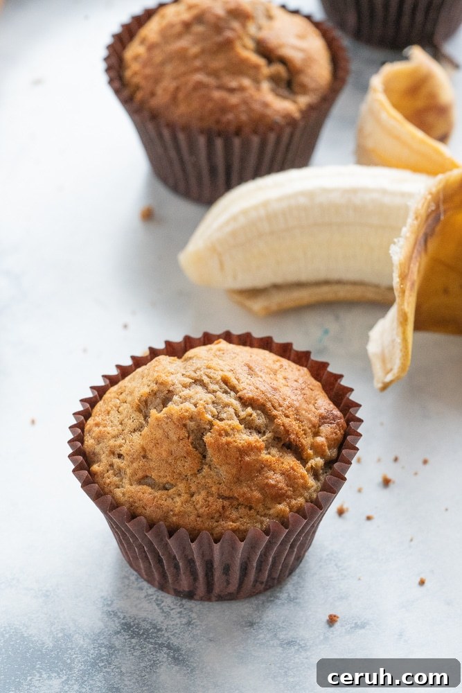 Quick Moist Banana Muffins Recipe for Perfectly Soft Bites 6 Vegan Banana Muffins Recipe