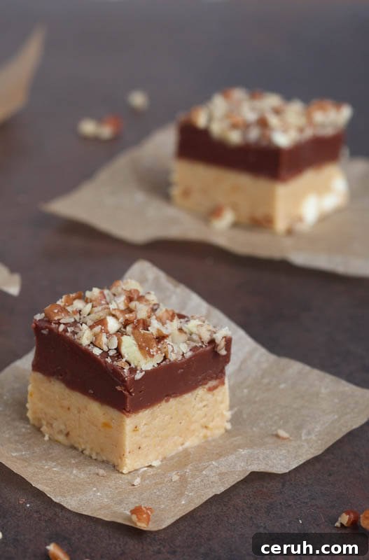 Pumpkin Chocolate Fudge {Spoonful of Flavor}