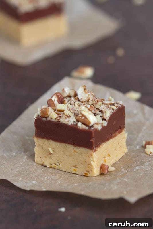 Pumpkin Chocolate Fudge {Spoonful of Flavor}