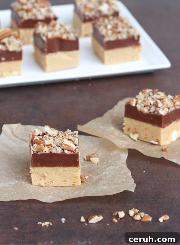 Pumpkin Chocolate Fudge {Spoonful of Flavor}