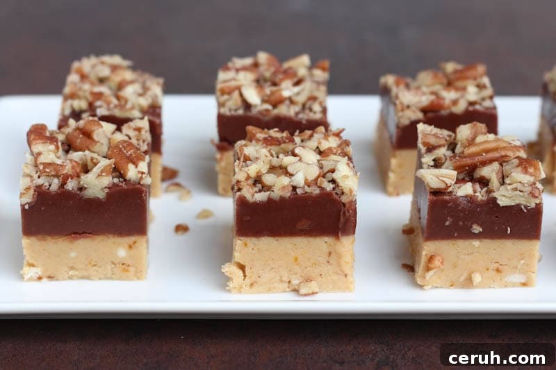 Pumpkin Chocolate Fudge {Spoonful of Flavor}
