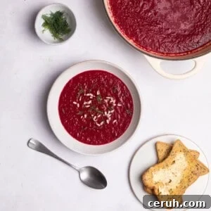 beetroot soup served with toast and fresh dill.