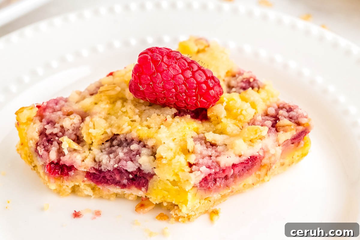 A raspberry bar on a white plate.