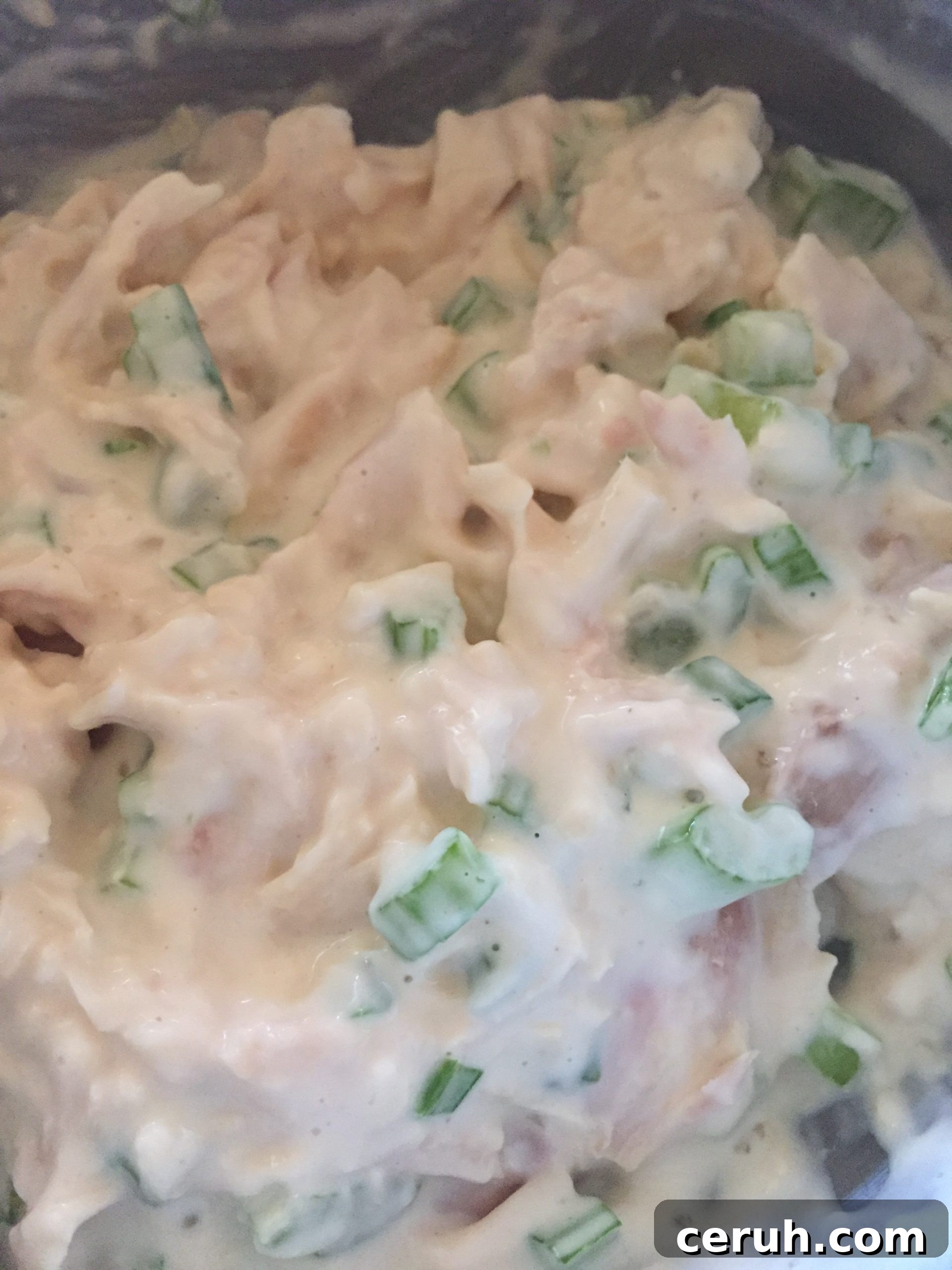 Chicken salad mixed with miracle whip and milk / yoghurt / kefir