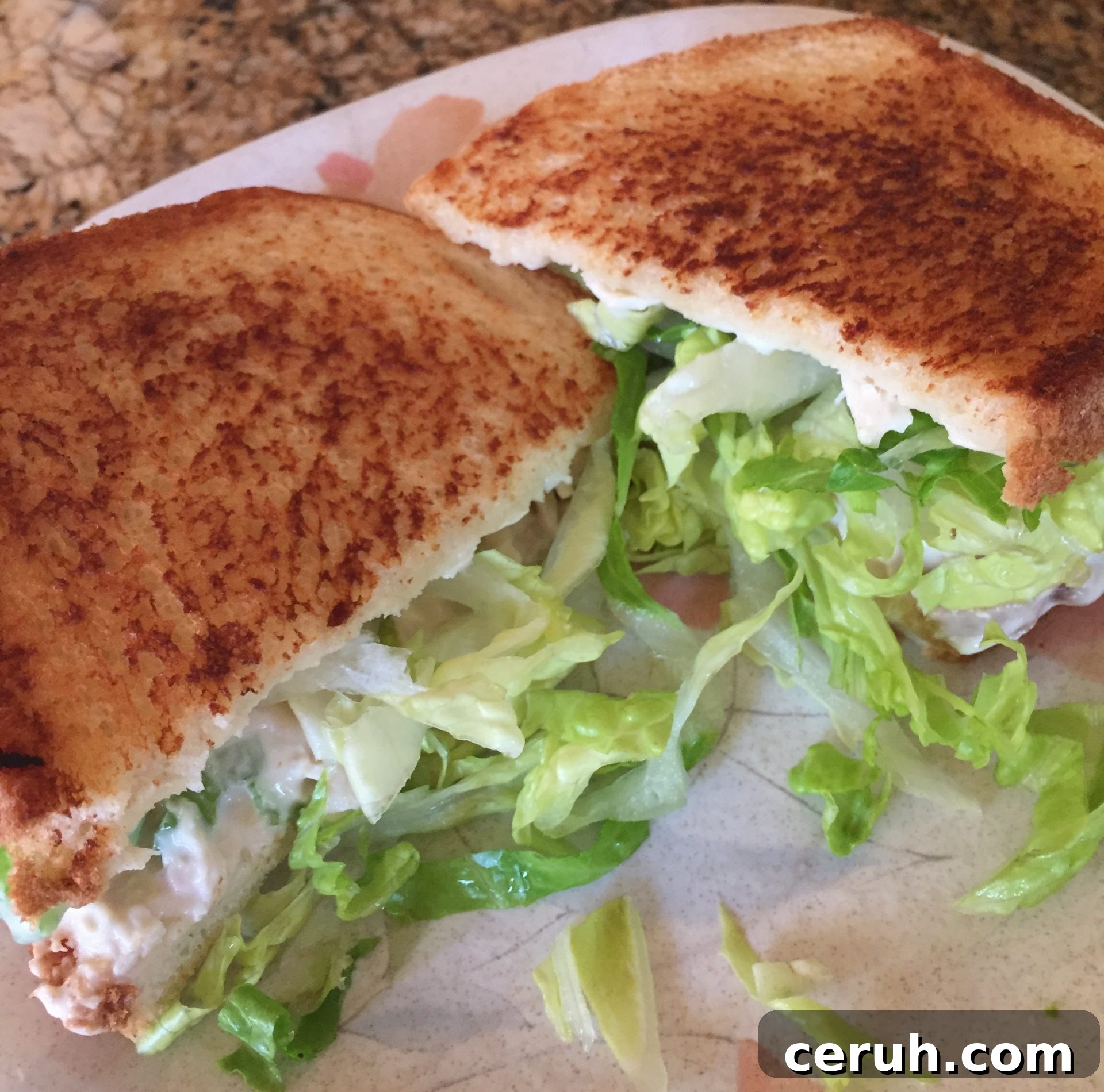 Grilled chicken salad sandwich with lettuce