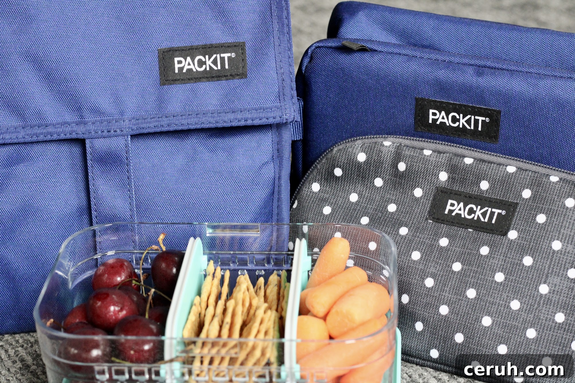 PackIt back to school lunches