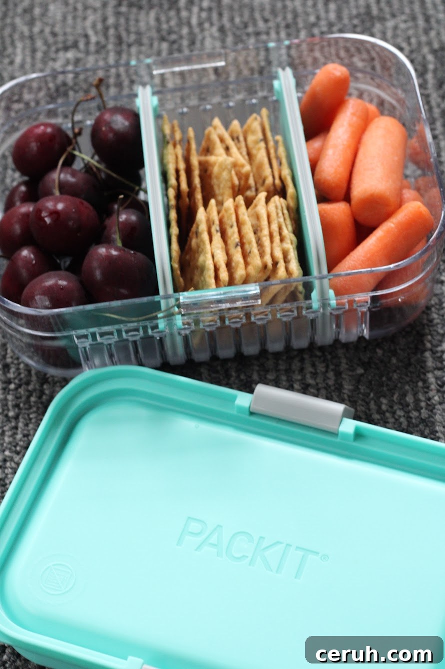 back to school lunches with Packit