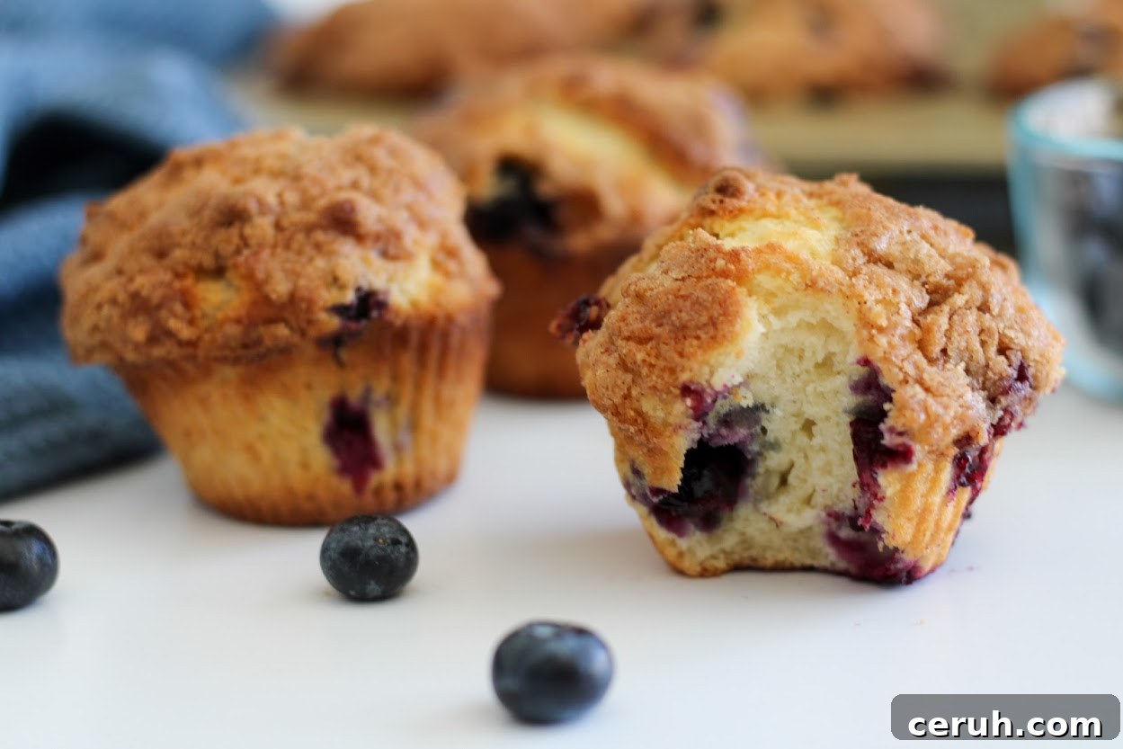 gluten-free blueberry streusel muffins
