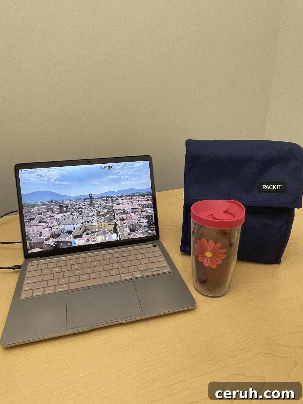 Computer and Packit lunch bag