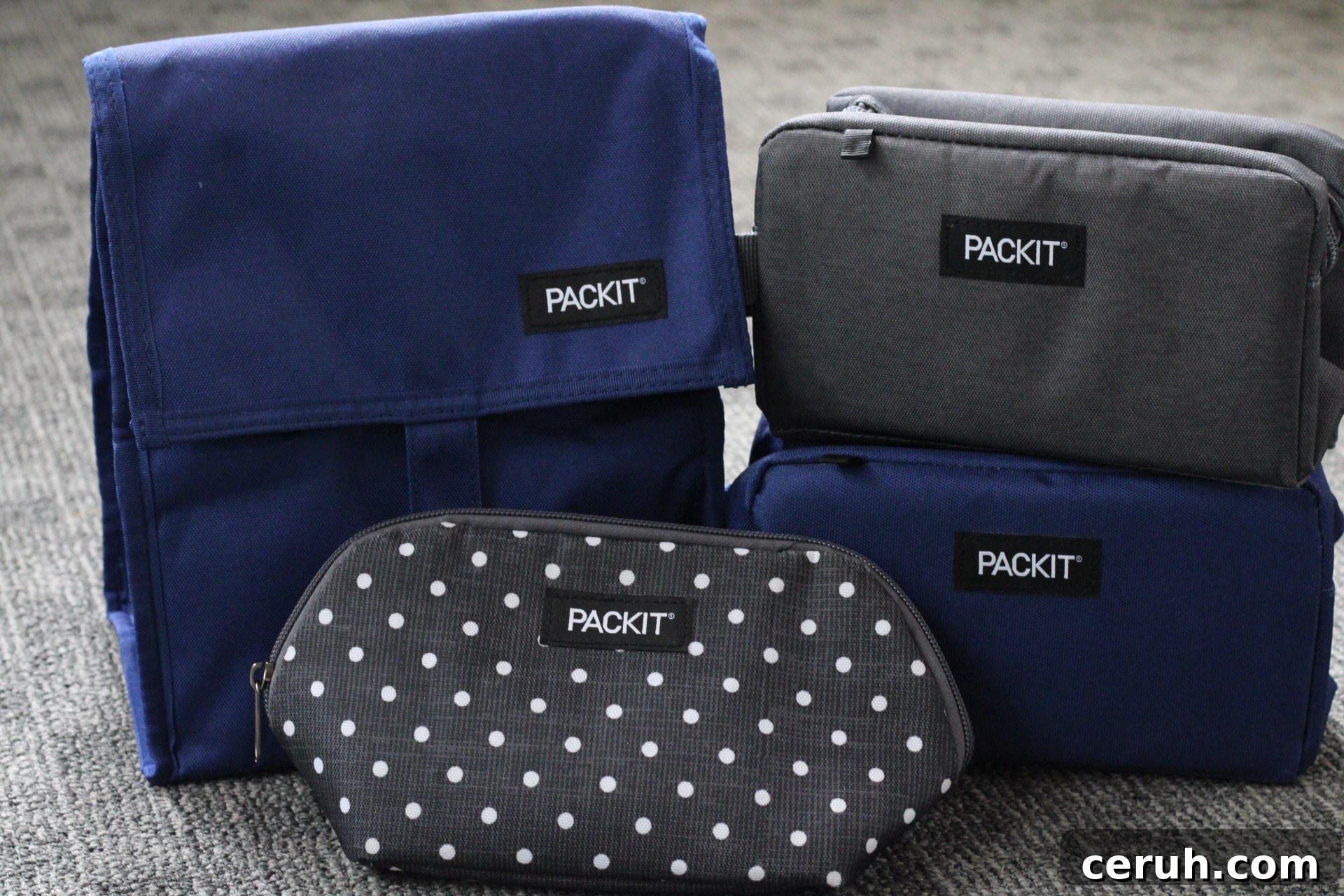 PackIt Lunch boxes and bags
