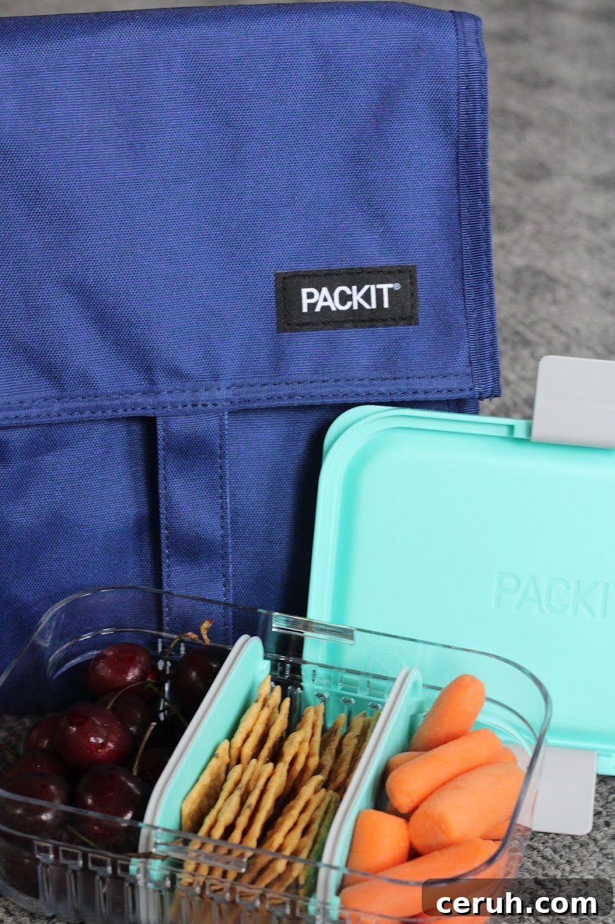 PackIt snack bag and snacks